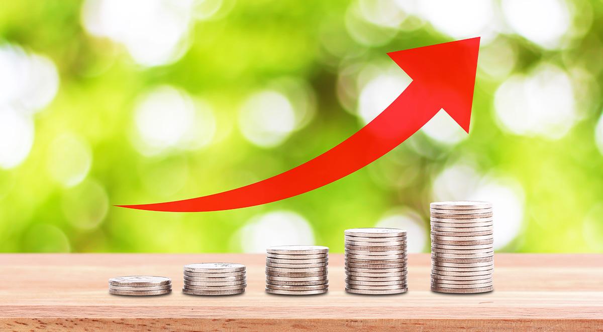 How Can Property Management Company Help Me Asheville, NC